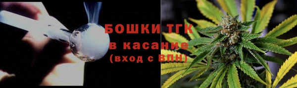 хмурый Мегион
