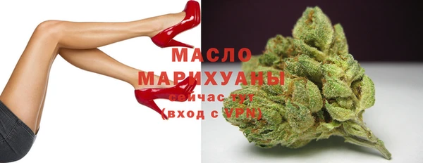 хмурый Мегион
