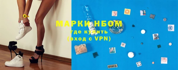 хмурый Мегион