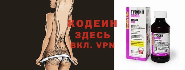 хмурый Мегион