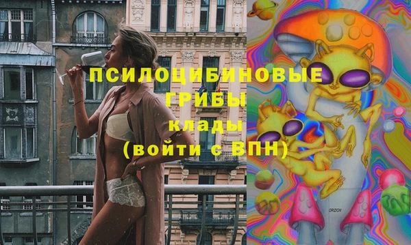 хмурый Мегион