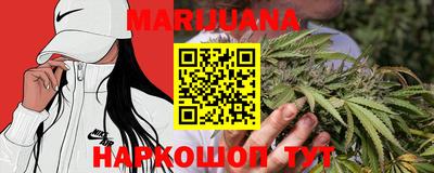 сатива Беслан