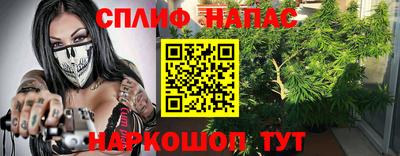 стаф Бийск